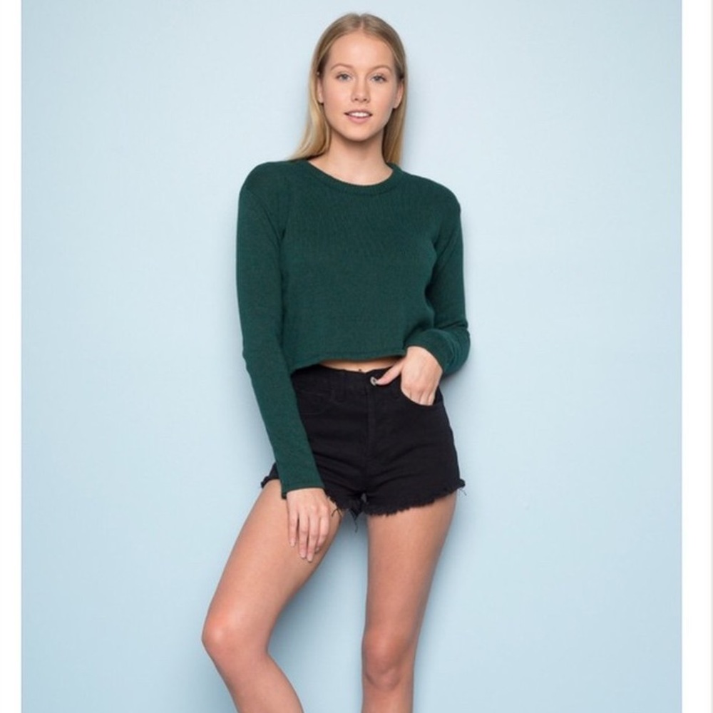 Brandy Melville Francesca Cropped Sweater